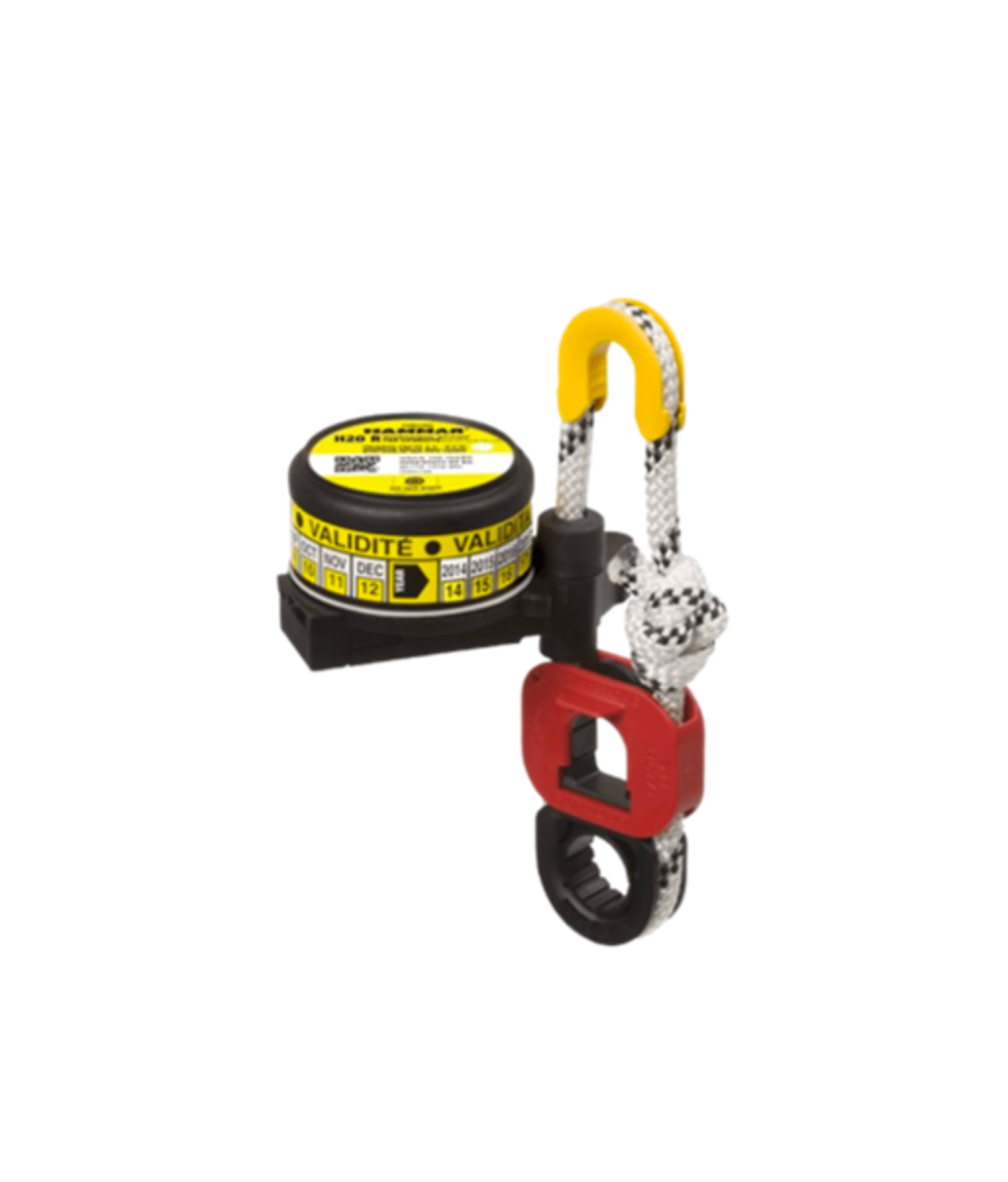 Agencies and Marine Products